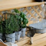 {Tips & Tricks} Cooking with Herbs