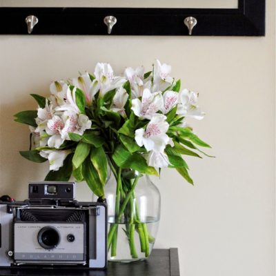 Simple Fix: Using Flowers to Brighten a Home