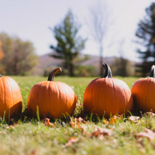 25 Ways to Enjoy Fall With Your Family
