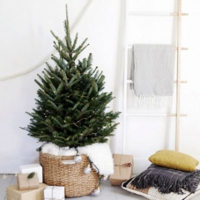 20 Christmas Tree Decoration Ideas