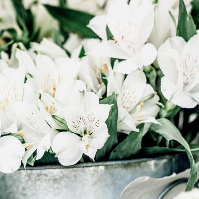 Simple Steps for a Beautiful Flower Arrangement