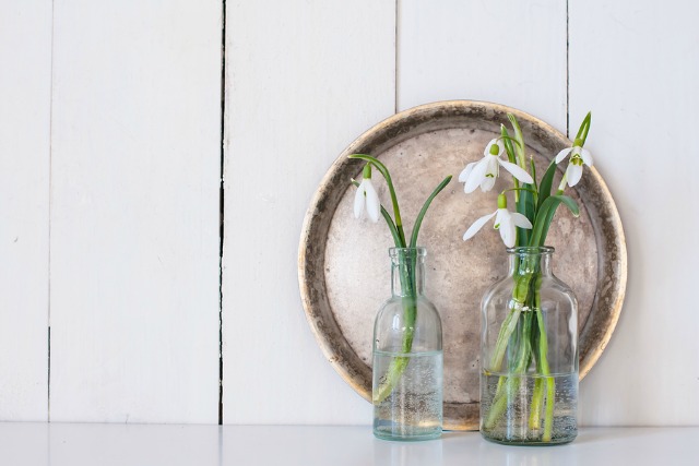 White spring flowers snowdrops in vintage glass bottles on white barn wall background, cottage interior decor