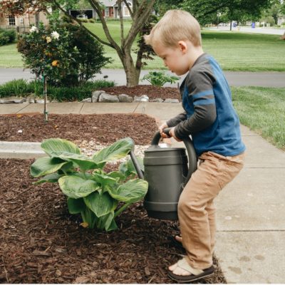 10 Ways to Get Kids Excited About Gardening