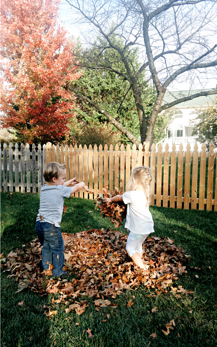 25 Family-Friendly Activities You Will Love